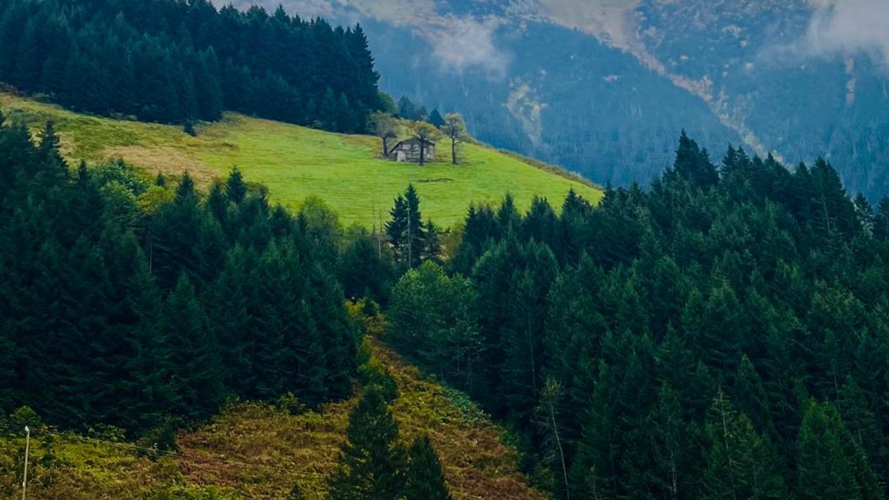 Trabzon’un Gizli Cenneti: Goşacık Yaylasından Kartpostal!