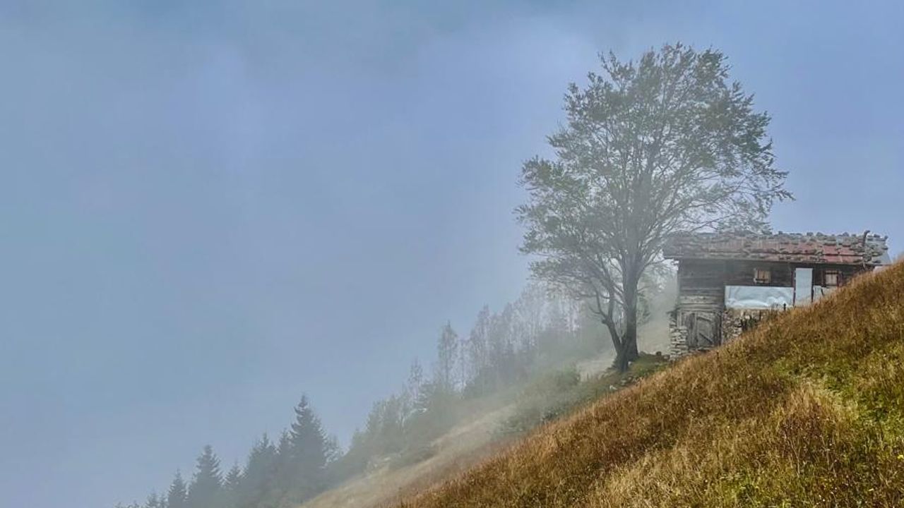 Limonsuyu Yaylası Sonbaharda Büyülüyor!