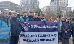 Trabzon’da Enerji İşçileri Sömürüye Karşı Direniyor