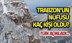 Trabzon'un 2024 Nüfusu Kaç Kişi Oldu? TÜİK Açıkladı...