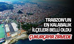 Trabzon'un En Kalabalık İlçeleri Belli Oldu! Çukurçayır Zirvede