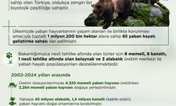 Tarım ve Orman Bakanlığı'ndan Yaban Hayatı