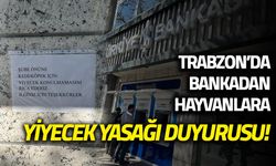 Trabzon'da Bankadan Hayvanlara Yiyecek Yasağı Duyurusu!