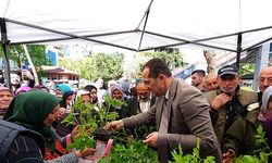Akçaabat'ta 10 Bin Sebze Fidesi Dağıtıldı