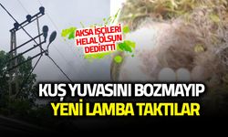 Trabzon’da AKSA İşçilerinden Doğaya Saygı Dersi! Kuşların Yuvası Korundu