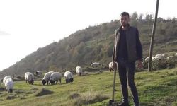 Trabzonlu Çoban Kene Isırması Sonucu Hayatını Kaybetti!