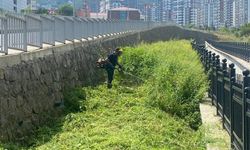 Akçaabat’ta Yeşil Alanlar Canlanıyor: Temizlik ve Çiçek