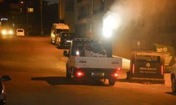 Sineklere Karşı Giresun Belediyesi İlaçlamaya Başladı