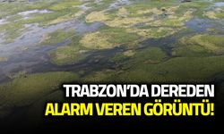 Ağasar Deresi'nden Alarm Veren Görüntü! Evde Durulmuyor...