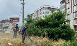 Trabzon Büyükşehir’den Şehre Estetik Dokunuş