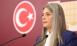 CHP’li Suiçmez, Kültür Yolu Festivali’ni Meclis Gündemine Taşıdı