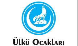 Ülkü Ocakları'ndan Orman Yangınlarına Karşı Seferberlik