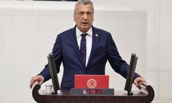 Hasan Öztürkmen Kimdir? Kaç Yaşında ve Nereli?