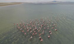 Seyfe Gölü'ne Nasıl Gidilir? Maden İddiaları Gerçek Mi?