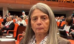 Türkiye Büyük Millet Meclisi, Gazze Krizini Görüşüyor