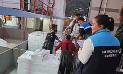 Trabzon’da hamsi avcılığına kota ve denetim kıskacı