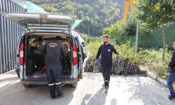 Akçaabat’ta Tarımsal Üretime Belediye Desteği Sürüyor