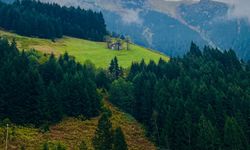 Trabzon’un Gizli Cenneti: Goşacık Yaylasından Kartpostal!