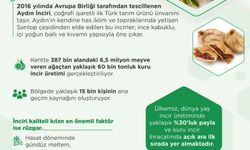 Türkiye’nin Avrupa Tescilli İlk Tarım Ürünü: Aydın İnciri!