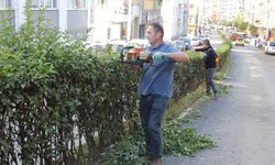Giresun Belediyesi’nden şehrin dört bir yanında yoğun mesai!