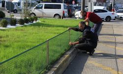 Giresun’da Dönel Kavşak ve Refüjler Modern Peyzajla Güzelleşiyor