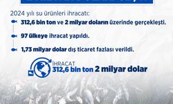 Türkiye Su Ürünlerinde Zirvede: 312 Bin Tonluk İhracat!