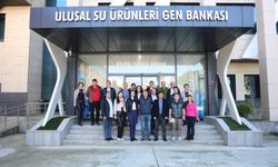 Romanya, Bulgaristan ve Ukrayna’dan Gelen Heyet Trabzon’da!