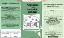 Trabzon’da Kahverengi Kokarca ile Mücadele Rehberi: 5 Kritik Adım