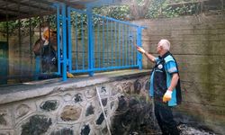 Bordosu İçimizde, Mavisi Bahçemizde