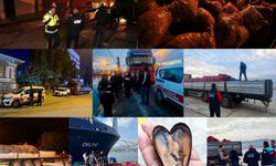 İzmir ve İstanbul’da Yasa Dışı Midye Avcılığı!