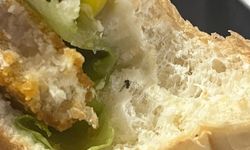 Trabzon Gülbahar Hatun Kız Yurdu’nda Yemek Skandalı! Küf ve Böcek İddiası