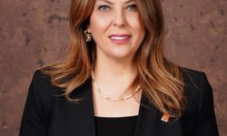 Giresun’da Dal-Çık Projesi Hayal Kırıklığı Yarattı!