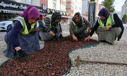Samsun Derebahçe’de Yol ve Peyzaj Çalışmaları Tamamlandı!