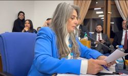 Kadına ve Çocuğa Yetersiz Bütçe! Suiçmez’ten Bakan’a Mesaj