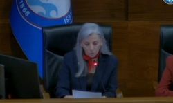 Sevgi Çebi Aktaş’tan Mecliste Hem Atatürk’e Vefa Hem Araklı’ya Övgü