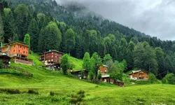 Karadeniz kalkınmada vites yükseltiyor! Rekor başvuru