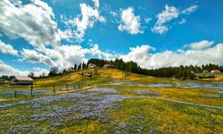 Aralıkta Kadıralak Yaylası Kartpostallık Görüntüler Sunuyor