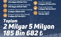 Tarımda Can Suyu: Destekleme Ödemeleri Hesaplara Aktarıldı