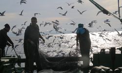 Karadeniz’in Derinliklerinden Kritik Bilimsel Bulgular