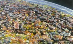 Trabzon Mutfağından Sofralara: Otluk Tavası