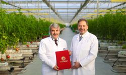 Yerli Tarımda Güç Birliği: TAGEM Ürünleri Marketlerde