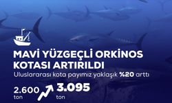 Orkinos Kotası %20 Arttı: Türkiye 400 Milyon TL Kazanacak