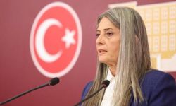 Sibel Suiçmez: AKP İnsan Haklarında Sınıfta Kaldı