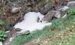 Ağasar Deresi Zehir Saçıyor! Köylü Ayakta !