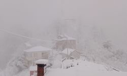 Eynesil Beyaza Büründü! Kar Manzarası Büyüledi