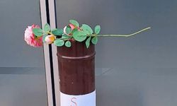 Şalpazarı Boğuluyor: Bu İlçe Temiz Hava İstiyor!