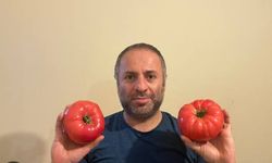 Trabzon Kaşüstü'nde Zincir Restoranda Gıda Skandalı!