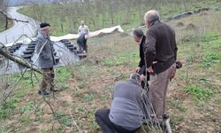Trabzon’da Aronya Üreticilerine Kış Budama Desteği