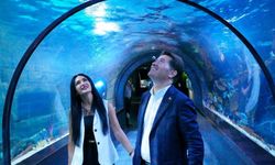 Trabzon Akvaryum’da Muhteşem Sevgililer Günü Etkinliği!