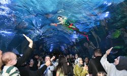 Trabzon Akvaryum’da 14 Şubat’a Özel Su Balesi Gösterisi